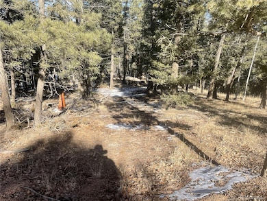 1873 N Mountain Estates Rd unit 55054116, Florissant, CO 80816 - photo 2