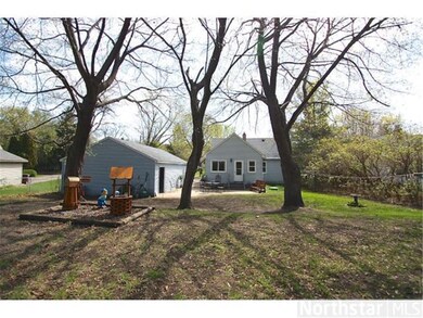 49 Center Road Back Yard
