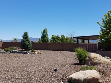 North side yard front