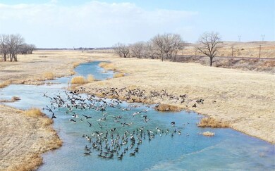 Roscoe unit NE 69153, Roscoe, NE 69153 - photo 2