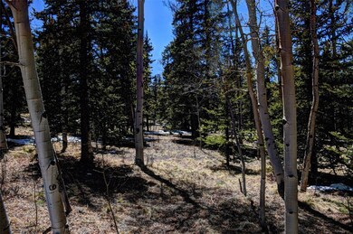 0 Kiowa St unit S1044835, Como, CO 80432 - photo 7