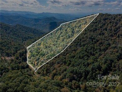 000 Simms Fork Rd, Burnsville, NC 28714 - photo 3