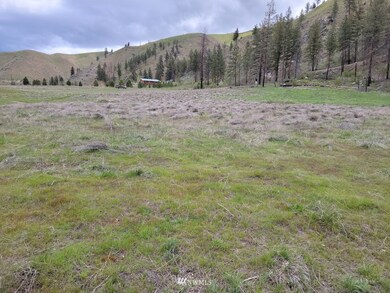 0 Black Pine Rd unit 1925756, Methow, WA 98834 - photo 3
