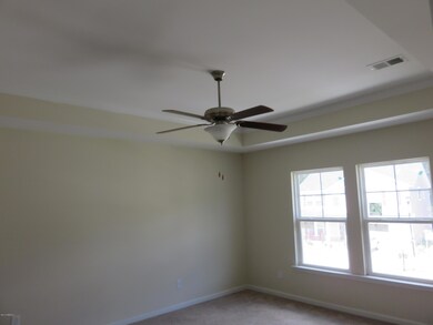 101 Sago Palm Dr, Bluffton, SC 29910 - photo 7