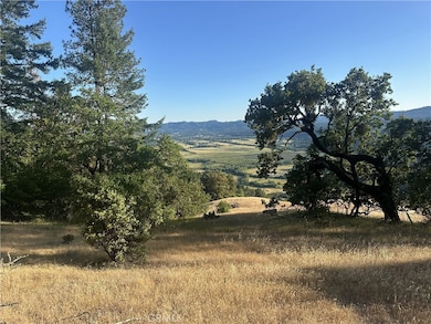 25996 String Creek Rd, Willits, CA 95490 - photo 3