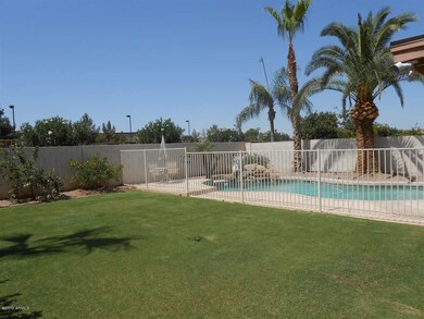 Pool/Grass Back Yard