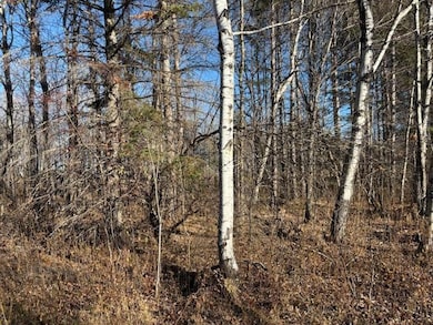 N11561 Black River Rd, Ironwood, MI 49938 - photo 3