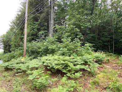 1069 County Rd, Walpole, NH 03608 - photo 3