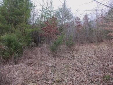 Lot 61 Hidden River Ln, Spencer, TN 38585 - photo 4