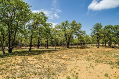 1040 Estancia Blvd, Weatherford, TX 76088 - photo 5