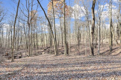 0 Mulberry Rd, Mount Perry, OH 43760 - photo 2