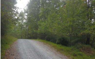 Additional View