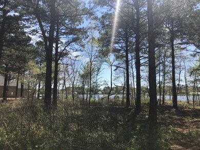 0 Harbor View Dr unit 53 1311361, Madison, MS 39110 - photo 7