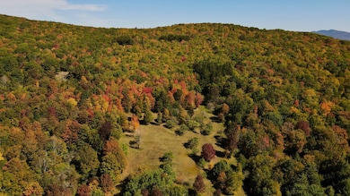 393 B G Partridge Rd, Ashland, NY 12496 - photo 5