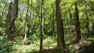 0 Quail Rd, Callands, VA 24530 - photo 3