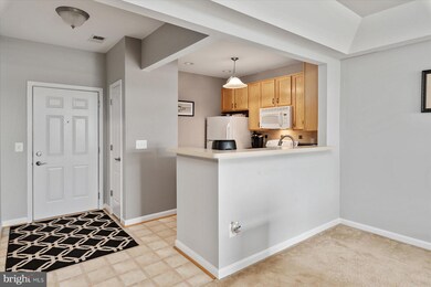 8609 Wintergreen Ct unit 201, Odenton, MD 21113 - photo 7