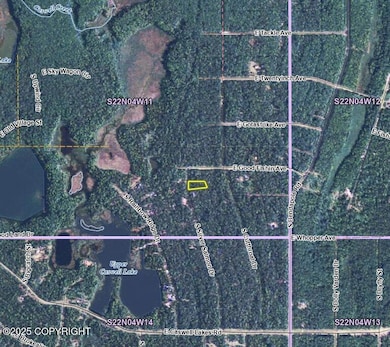 48617 S Silver Salmon Dr, Willow, AK 99688 - photo 5