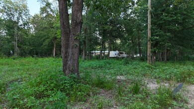 235 Panther Ln, Livingston, TX 77351 - photo 5