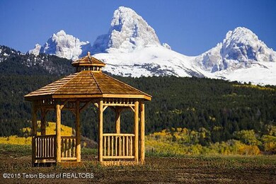 Rogel Photographs 088