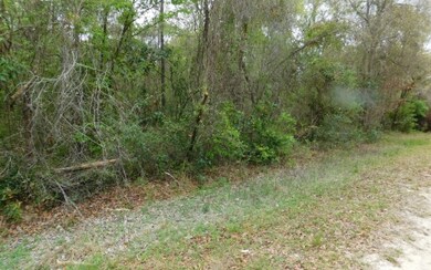 LOT Santa fe Dr, Fort White, FL 2038 - photo 2