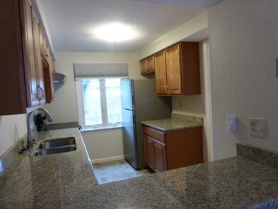 3 Webster Ct, Amherst, MA 01002 - photo 5