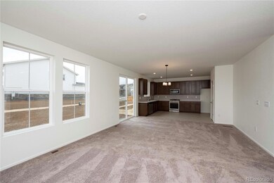 20985 E 59th Ave, Aurora, CO 80019 - photo 7
