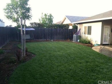Backyard from south