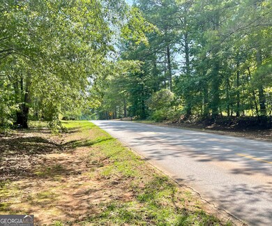 460 Welcome To Arnco Rd, Newnan, GA 30263 - photo 5