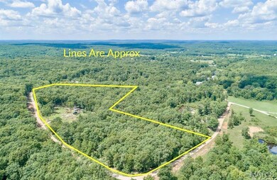 Aerial view of property and surrounding area featuring a forest and property boundaries highlighted