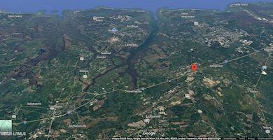 Tbd Forest Ave, Ridgeland, SC 29936 - photo 5