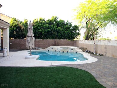 Backyard 1