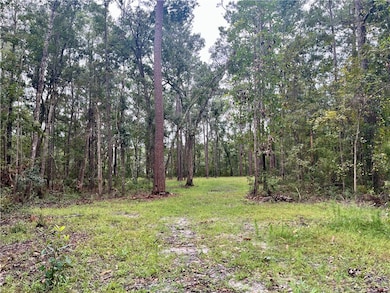 1111 Fiddler Crab Dr, Townsend, GA 31331 - photo 3