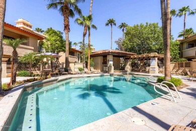 Tapatio Cliffs Pool