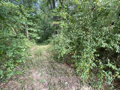 00 State Road 45, Bloomfield, IN 47424 - photo 4