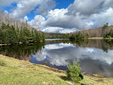 995 Knapp Pond Rd, Cavendish, VT 05142 - photo 2