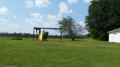 W backyard