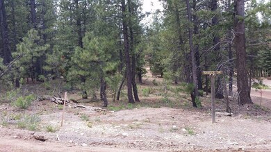 1010 N Pine Knoll Loop unit SCP 1-4-73, Duck Creek Village, UT 84762 - photo 5