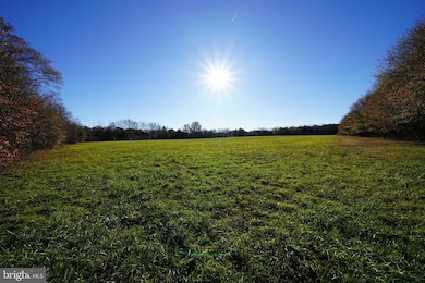 0 Lynch Ln unit DESU2101358, Georgetown, DE 19947 - photo 3