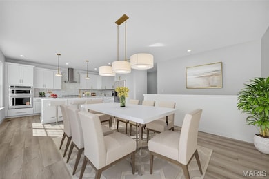 232 Balmoral Gardens Ct, Lake Saint Louis, MO 63367 - photo 4