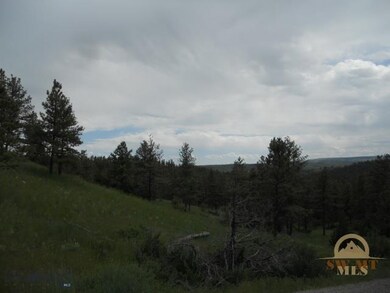 AREA PHOTO