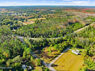 TBD Pear St, Wewahitchka, FL 32465 - photo 7