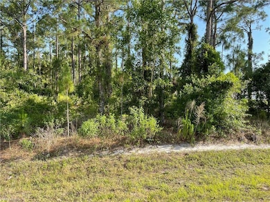 0 29th Ave Everglades Blvd unit 225082390, Naples, FL 34120 - photo 7