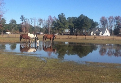 162 Schmidt Ln, Lumber Bridge, NC 28357 - photo 2