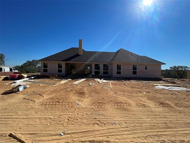 183 Lucky Ridge Ln, Boyd, TX 76023 - photo 5