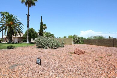 Front Side Yard