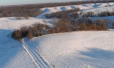 MO YY N A, Green City, MO 63545 - photo 5