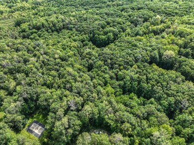DJI_0358