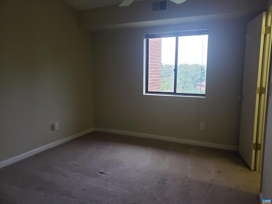 126 Turtle Creek Rd unit 11, Charlottesville, VA 22901 - photo 6