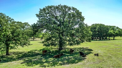 2660 County Road 482, de Leon, TX 76444 - photo 6