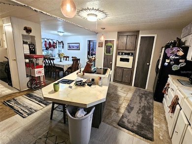 4211 Lowell Ln, Zephyrhills, FL 33541 - photo 5